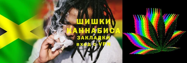 прущая мука Ельня