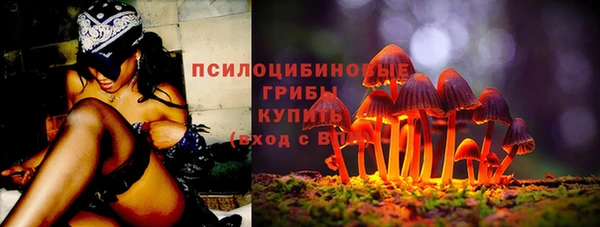 прущая мука Ельня