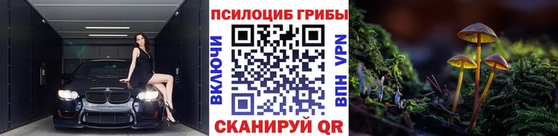Галлюциногенные грибы Cubensis  Купить  Называевск 